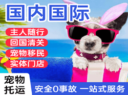 鞍山空运代理国际宠物托运 【国
